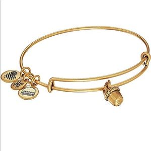 Alex & Ani Acorn Bracelet